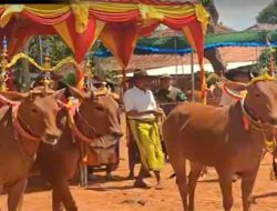 Kontes Sape Sono’ Diminati Pengunjung