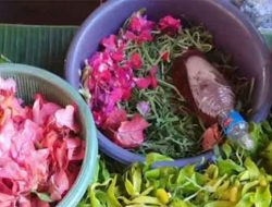 Aroma Du’remmek dan Kembhâng Campor Bhâbur